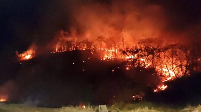 El Niño aumenta risco de incêndios e coloca quase 400 cidades em alerta; veja cuidados no campo