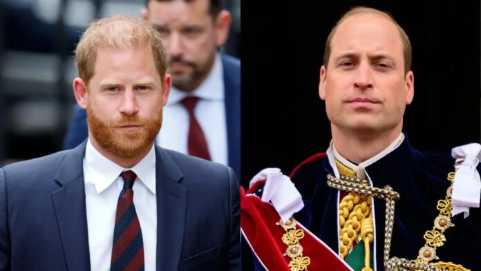 Especialista revela projeto de Harry sobre Diana que teria contribuído para o retorno ao Reino Unido e deixado William furioso Especialista revela projeto de Harry sobre Diana que teria contribuído para o retorno ao Reino Unido e deixado William furioso